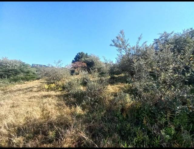 LAND FOR SALE IN SIMBITHI ECO ESTATE